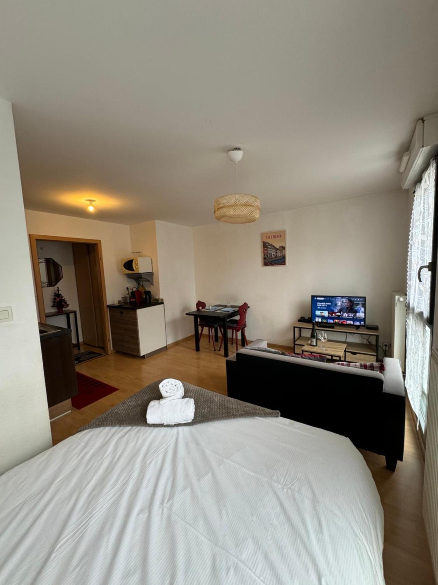 Le "Petit Colmarien" A 1Mn Du Centre Apartment Exterior photo